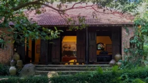 Di Chuyển Đến Bảo Tàng Đồng Đình 2026: 5 Trải Nghiệm Giữa Rừng Sơn Trà