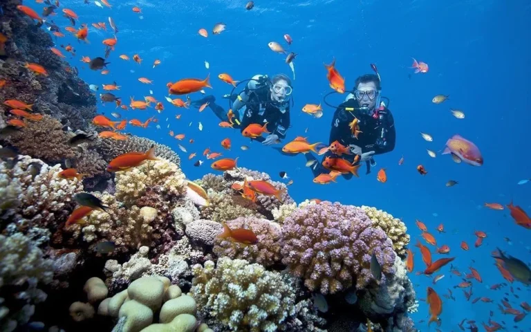 ソンチャ半島とチャム島、シュノーケリングはどちらが綺麗？ローカルの視点から比較
