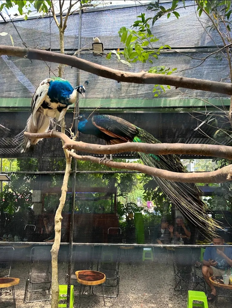 Zoo Cafes in Da Nang for Families with Small Children